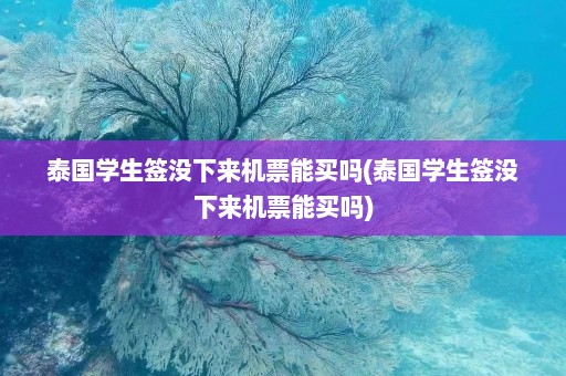 泰国学生签没下来机票能买吗(泰国学生签没下来机票能买吗)