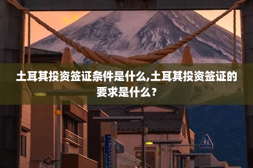 土耳其投资签证条件是什么,土耳其投资签证的要求是什么？