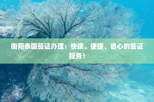 衡阳泰国签证办理：快速、便捷、省心的签证服务！