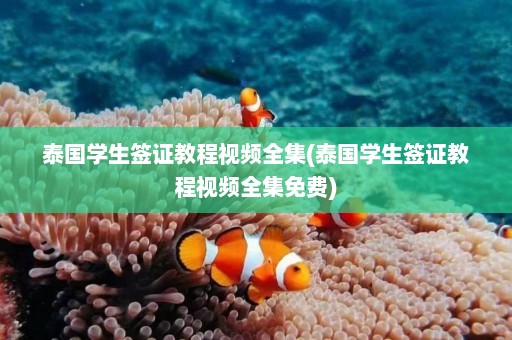 泰国学生签证教程视频全集(泰国学生签证教程视频全集免费)