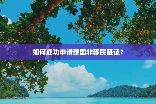 如何成功申请泰国非移民签证？