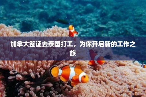 加拿大签证去泰国打工，为你开启新的工作之旅