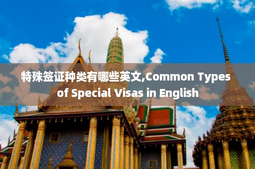 特殊签证种类有哪些英文,Common Types of Special Visas in English