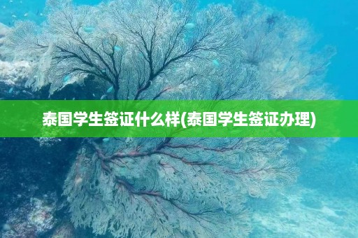 泰国学生签证什么样(泰国学生签证办理)