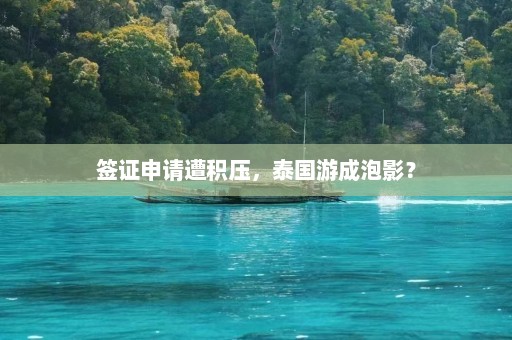 签证申请遭积压，泰国游成泡影？