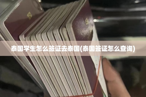 泰国学生怎么签证去泰国(泰国签证怎么查询)  第1张