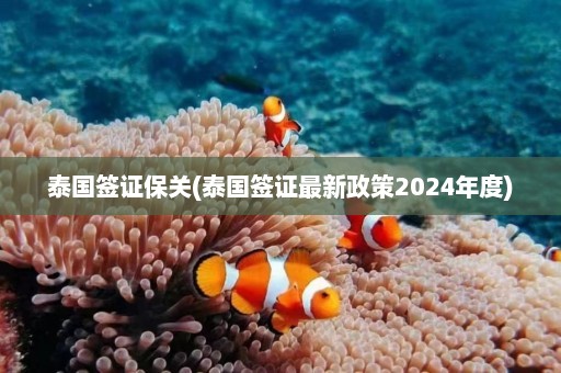 泰国签证保关(泰国签证最新政策2024年度)