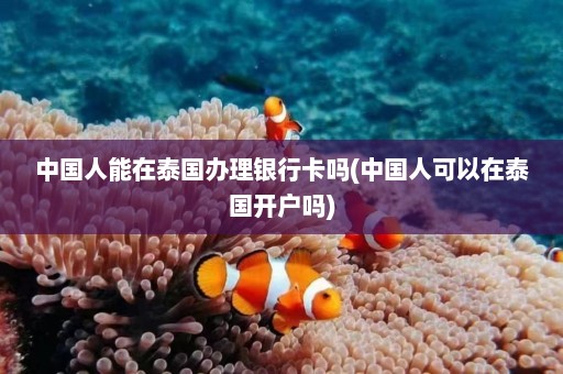 中国人能在泰国办理银行卡吗(中国人可以在泰国开户吗)