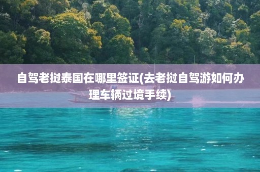 自驾老挝泰国在哪里签证(去老挝自驾游如何办理车辆过境手续)