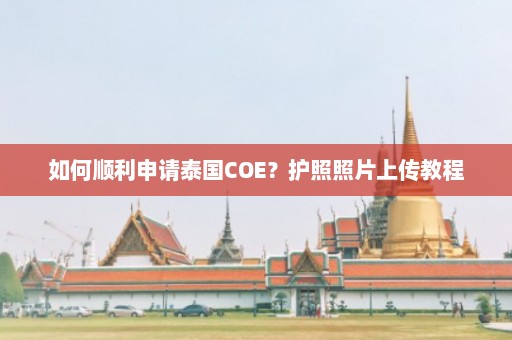 如何顺利申请泰国COE？护照照片上传教程  第1张