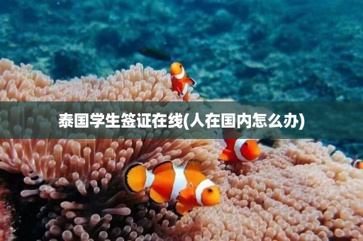 泰国学生签证在线(人在国内怎么办)