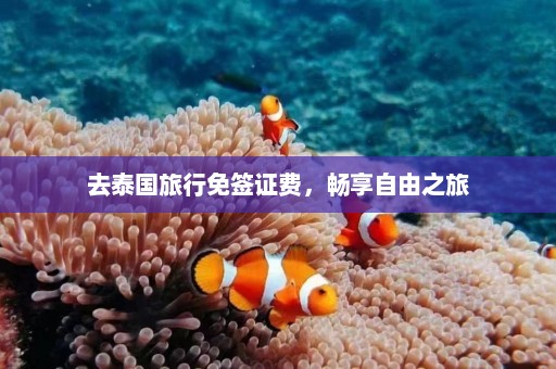 去泰国旅行免签证费，畅享自由之旅