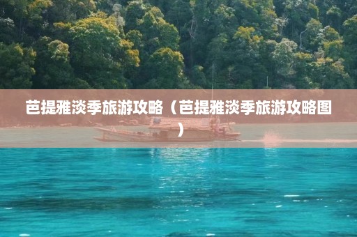 芭提雅淡季旅游攻略（芭提雅淡季旅游攻略图）