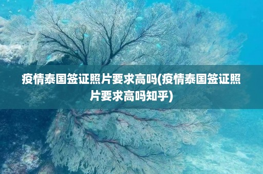 疫情泰国签证照片要求高吗(疫情泰国签证照片要求高吗知乎)