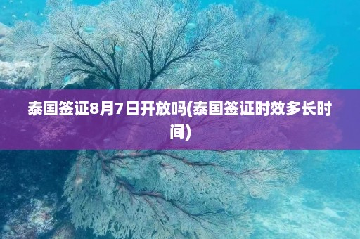 泰国签证8月7日开放吗(泰国签证时效多长时间)