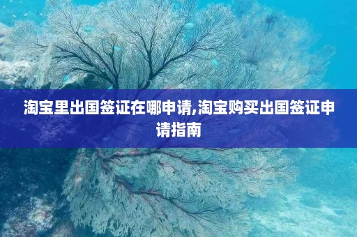 淘宝里出国签证在哪申请,淘宝购买出国签证申请指南