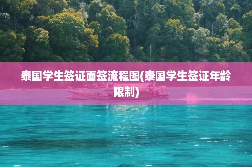 泰国学生签证面签流程图(泰国学生签证年龄限制)