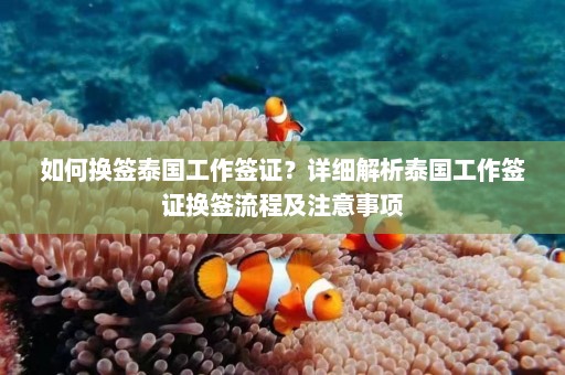 如何换签泰国工作签证？详细解析泰国工作签证换签流程及注意事项