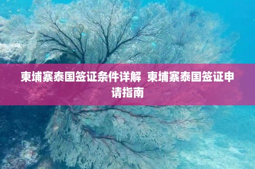 柬埔寨泰国签证条件详解  柬埔寨泰国签证申请指南