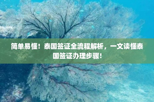 简单易懂！泰国签证全流程解析，一文读懂泰国签证办理步骤！