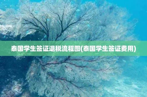 泰国学生签证退税流程图(泰国学生签证费用)