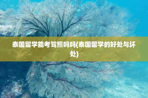 泰国留学能考驾照吗吗(泰国留学的好处与坏处)