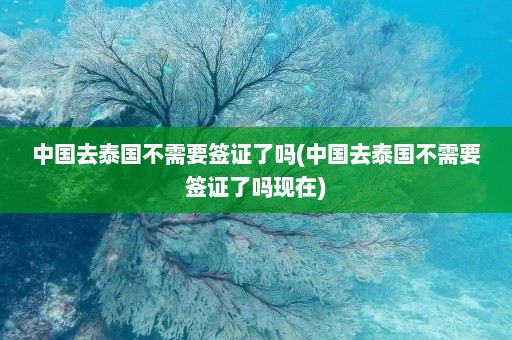 中国去泰国不需要签证了吗(中国去泰国不需要签证了吗现在)