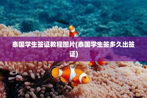 泰国学生签证教程图片(泰国学生签多久出签证)