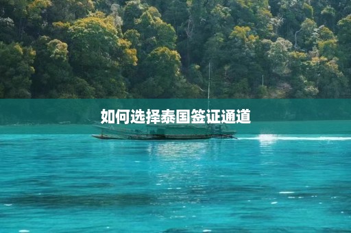 如何选择泰国签证通道