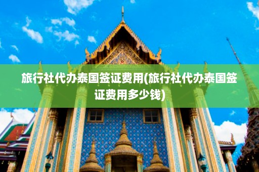 旅行社代办泰国签证费用(旅行社代办泰国签证费用多少钱)  第1张