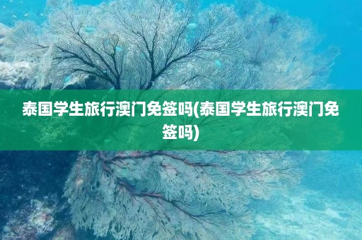 泰国学生旅行澳门免签吗(泰国学生旅行澳门免签吗)