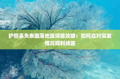 护照丢失泰国落地签续签攻略：如何应对突发情况顺利续签