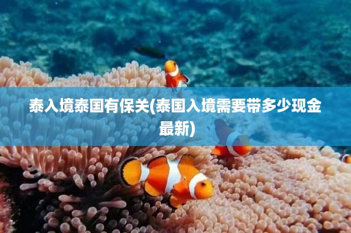 泰入境泰国有保关(泰国入境需要带多少现金 最新)