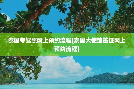 泰国考驾照网上预约流程(泰国大使馆签证网上预约流程)