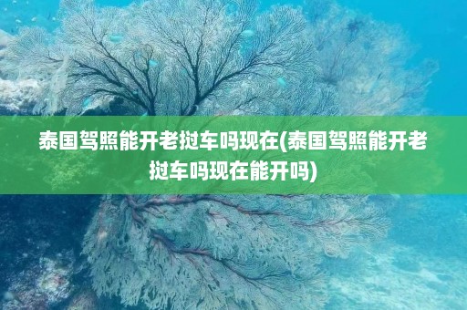 泰国驾照能开老挝车吗现在(泰国驾照能开老挝车吗现在能开吗)