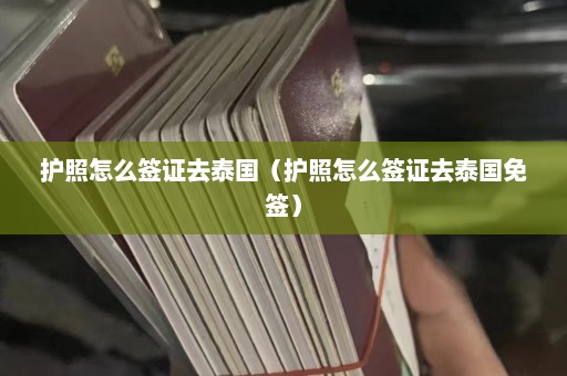 护照怎么签证去泰国（护照怎么签证去泰国免签）  第1张