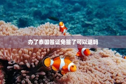 办了泰国签证免签了可以退吗