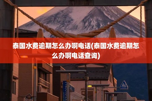 泰国水费逾期怎么办啊电话(泰国水费逾期怎么办啊电话查询)