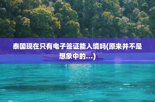 泰国现在只有电子签证能入境吗(原来并不是想象中的...)