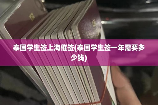 泰国学生签上海催签(泰国学生签一年需要多少钱)  第1张