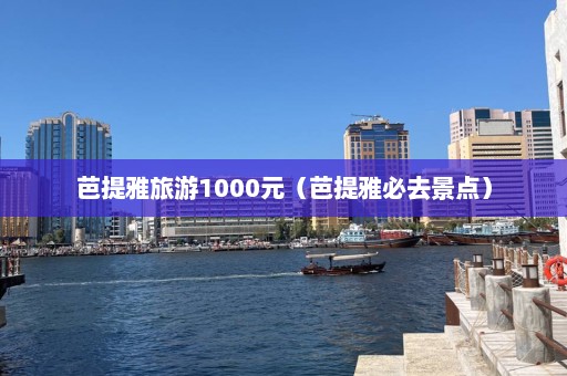 芭提雅旅游1000元（芭提雅必去景点）