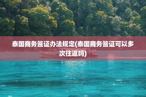 泰国商务签证办法规定(泰国商务签证可以多次往返吗)