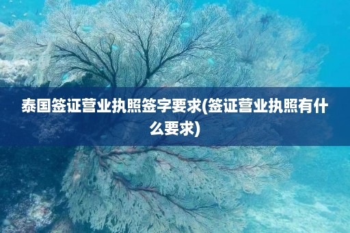 泰国签证营业执照签字要求(签证营业执照有什么要求)