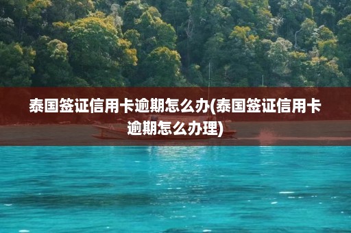 泰国签证信用卡逾期怎么办(泰国签证信用卡逾期怎么办理)