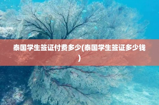 泰国学生签证付费多少(泰国学生签证多少钱)