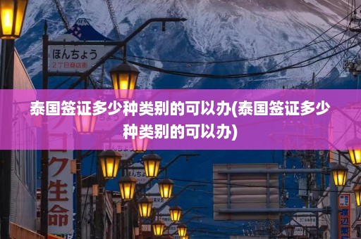 泰国签证多少种类别的可以办(泰国签证多少种类别的可以办)