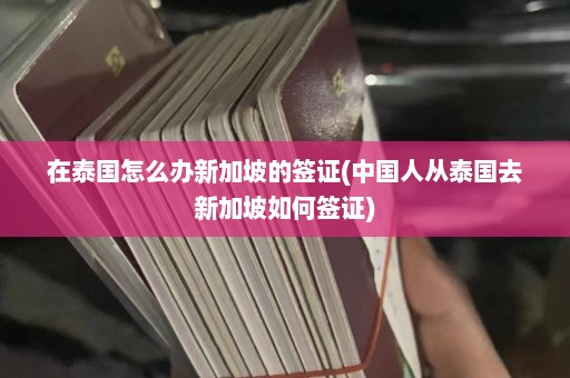 在泰国怎么办新加坡的签证(中国人从泰国去新加坡如何签证)  第1张