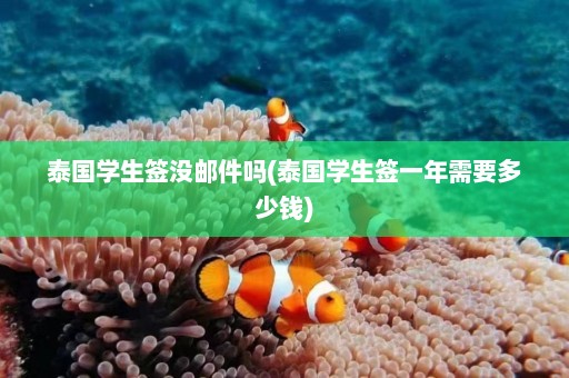 泰国学生签没邮件吗(泰国学生签一年需要多少钱)