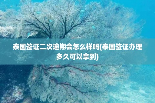 泰国签证二次逾期会怎么样吗(泰国签证办理多久可以拿到)