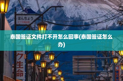 泰国签证文件打不开怎么回事(泰国签证怎么办)